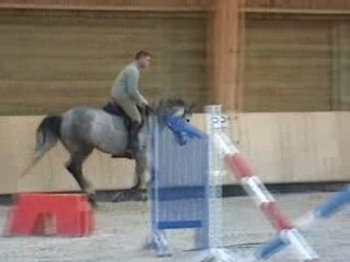 Popstar de barbereau