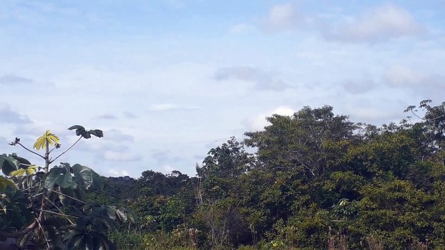 Boeing 777-300ER PT-MUB na aproximação final antes de pousar em Manaus vindo de Guarulhos