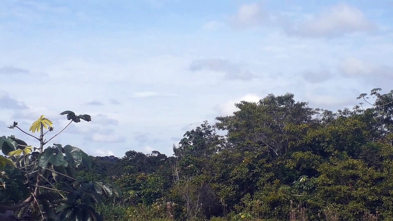 Boeing 777-300ER PT-MUB na aproximação final antes de pousar em Manaus vindo de Guarulhos