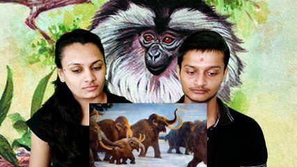 Reaction Makers | Top Extinct animal and bird species information | दुनिया की 5 विलुप्त प्रजातियां