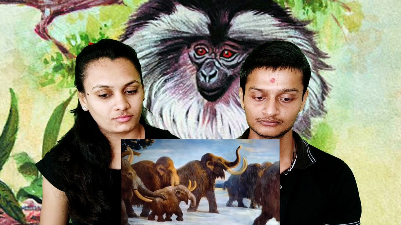 Reaction Makers | Top Extinct animal and bird species information | दुनिया की 5 विलुप्त प्रजातियां