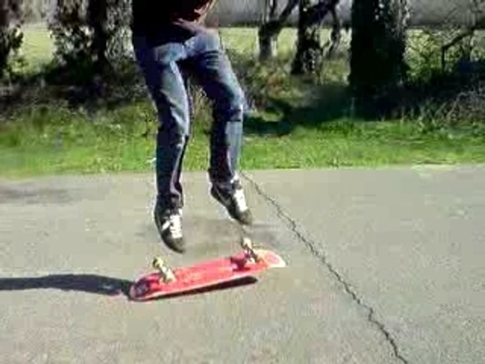 Rom' flip