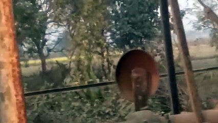 रेलवे स्टेशन क्रॉसिंग पर इंजन को सिंग्नल न मिलने से लगा घण्टो जाम