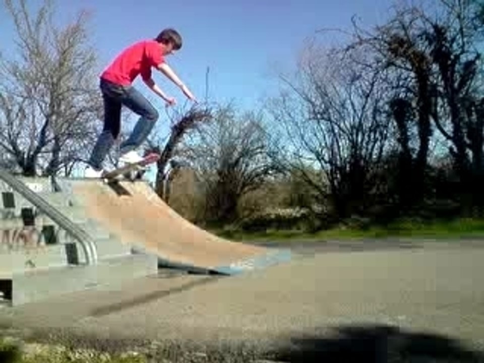 David