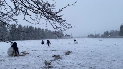 La neige dans les Hautes-Fagnes