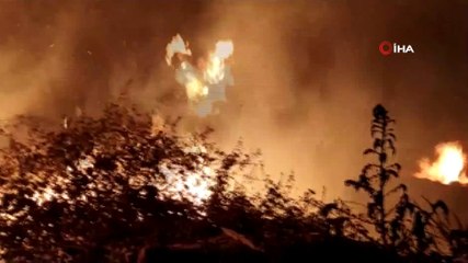 Bursa’da sazlık alanda yangın