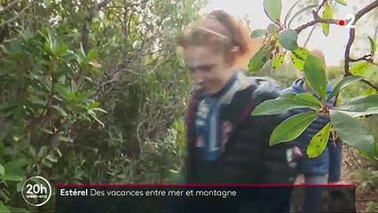 Nature : à la découverte du massif de l'Estérel, dans le Var