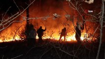 Sakarya'da orman yangını...Ekipler ve vatandaşlar alevlerle boğuştu