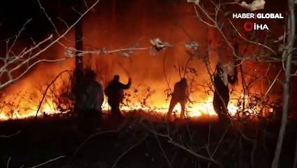 Sakarya'da korkutan orman yangını