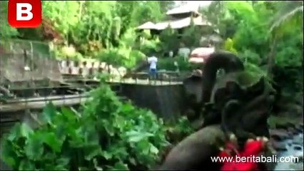 Wisata Air Panas Banjar, Buleleng, Bali