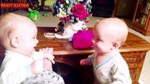 Cute Twins Babies Fighting  Funny Baby Video's