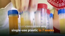Hungarian scientists develop plastic eating bacteria