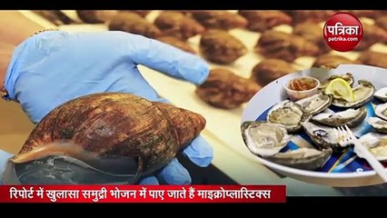 Video: सी फूड खाना हो सकता है खतरनाक, पाया गया है जानलेवा प्लास्टिक