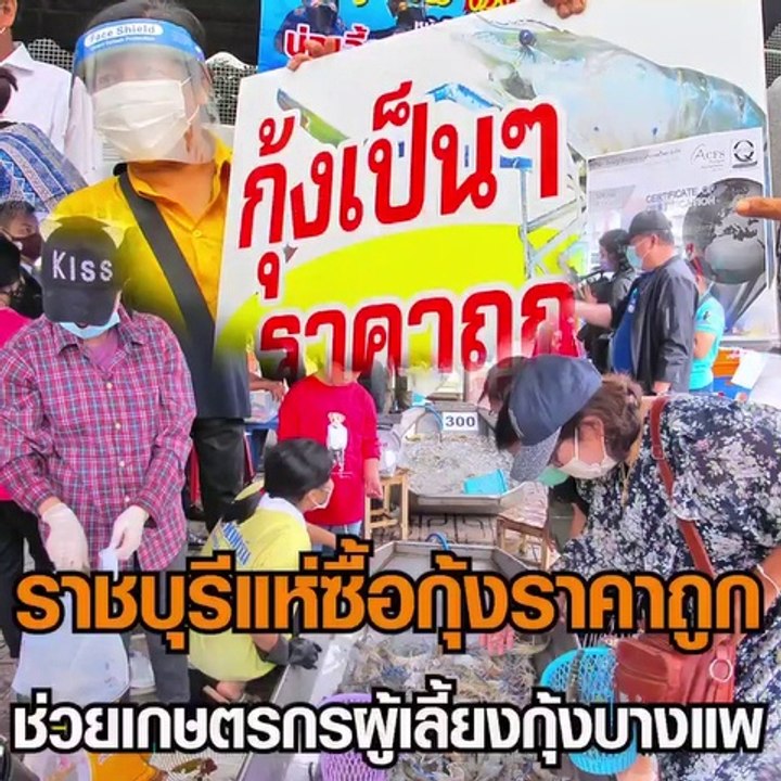 ชาวราชบุรีแห่ซื้อกุ้งช่วยชาวประมงที่นำมาขายในราคาถูก