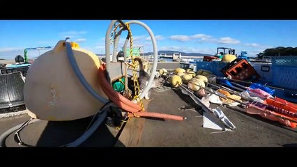 野良猫動画をGoProアプリで編集　第二弾