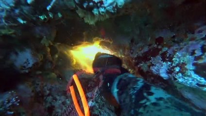 2020 Spearfishing - Highlights