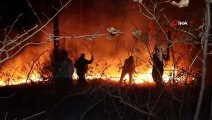 Sakarya'da Orman Yangını! Ekipler ve Vatandaşlar Alevlerle Boğuştu