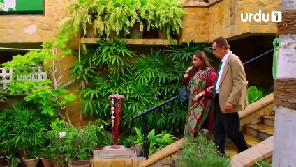 Paimanay - Episode 3 | Urdu1 Drama | Fatima Effandi, Eshal Fayyaz, Asad Siddiqui