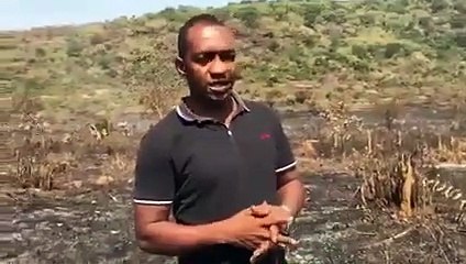 Friguiagbé : 14 hectres d'anacardes réduits en cendres...