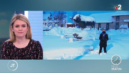 Tempête Bella : le Massif Central se réveille sous la neige