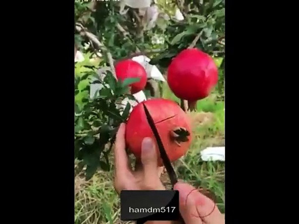 WONDERFUL