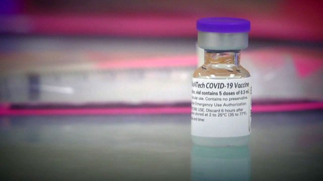 내년 2~3월 접종 시작...3분기 집단면역 목표 / YTN