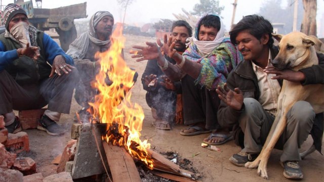 Delhi weather soars as cold wave intensifies