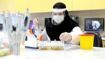 Iran: Human testing of COVID vaccine to begin after animal trials