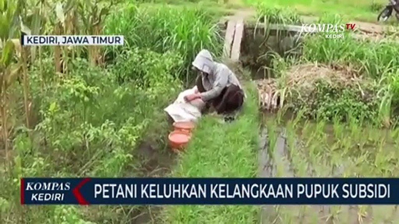 Petani Keluhkan Kelangkaan Pupuk Bersubsidi