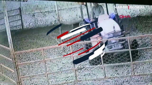 Kızgın boğa sahibini böyle yaraladı