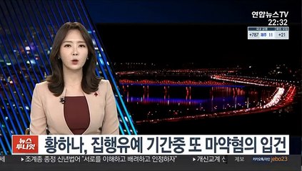 황하나, 집행유예 기간중 또 마약혐의 입건