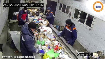 Ce chaton est sauvé in extremis d'une déchetterie par un employé !