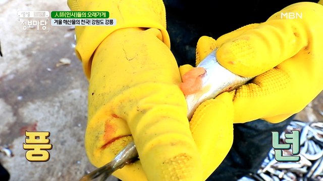 해산물 천국 강릉! '이것' 꼭 먹고 오는 게 국룰 ᕕ( ᐛ )ᕗ