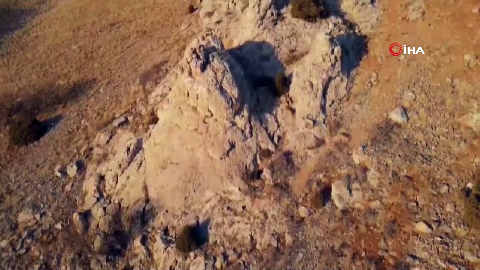 - Yaban keçileri droneye yakalandı