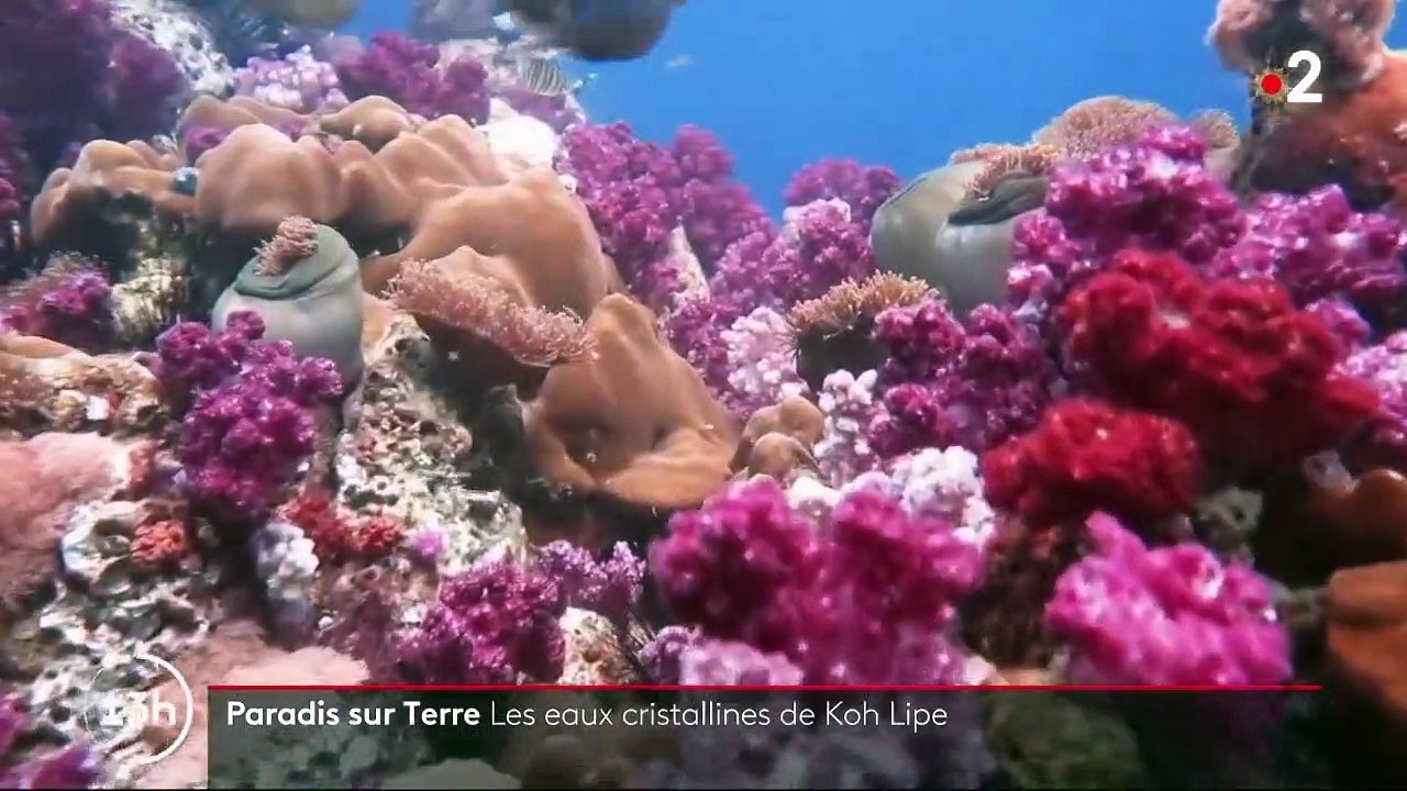 Thaïlande : l'île de Koh Lipe et ses eaux cristallines