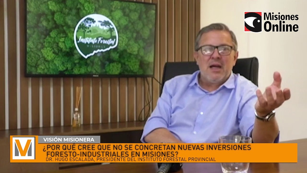 VIDEO 4 Por qué cree que no se concretan nuevas inversiones foresto-industriales en Misiones