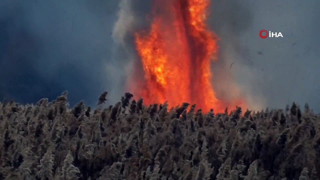 Beyşehir Gölü kenarında sazlık yangını