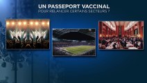 Vaccino obbligatorio? Polemiche per una legge in Francia. In Italia botta-risposta nel governo