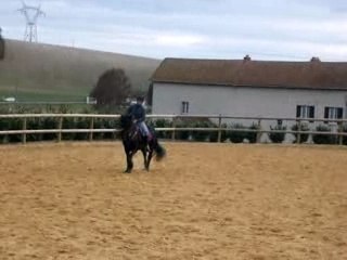 08_01_22_ferme_fauvette_carnaval 034