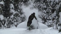 Skier Jumps Over Snow-Covered Tree and Tumbles Forward