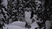 Skier Faceplants to the Snow While Jumping Over Snow-Covered Treetop