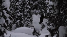 Skier Faceplants to the Snow While Jumping Over Snow-Covered Treetop