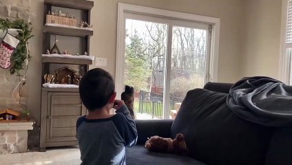 Howling Dog Has the Harmonica Blues