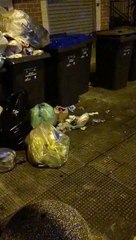 Andria: rifiuti ammassati in zona residenziale "aria irrespirabile" - video