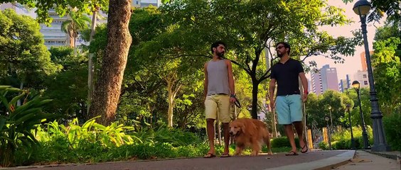 Cinema de Amor - Trailer