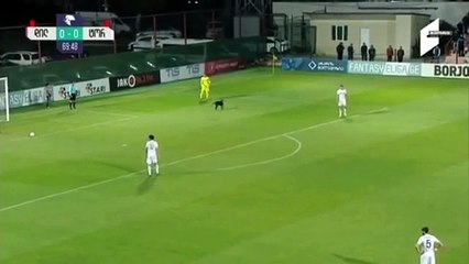 لاعب كرة قدم يتبنى كلب بعد اقتحامه مباراة في بوليفيا