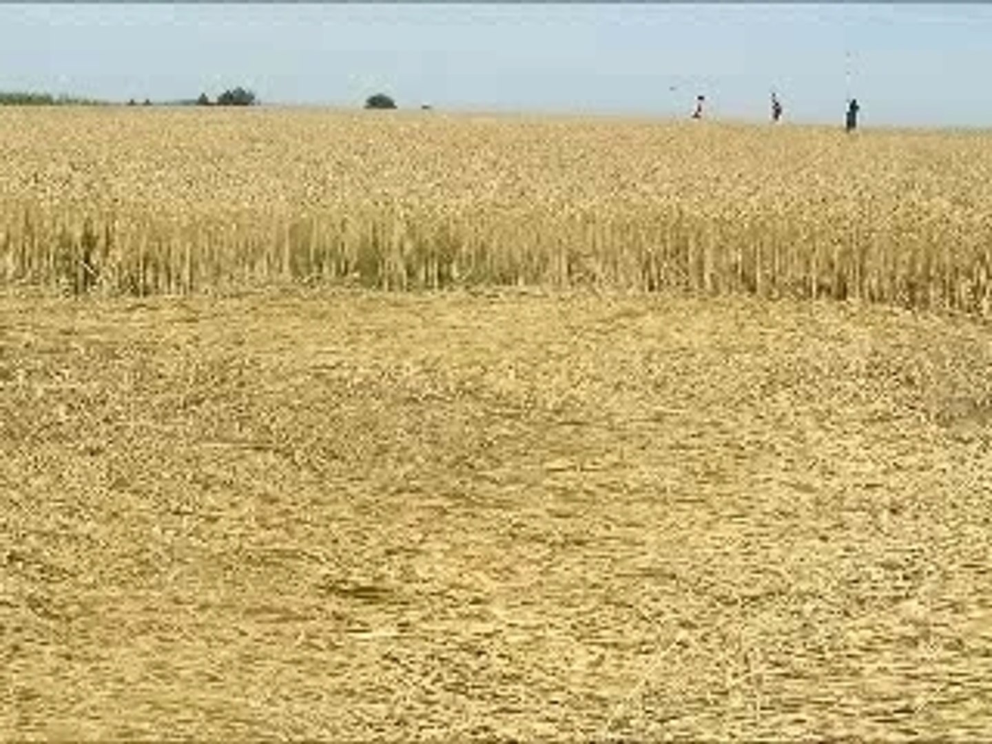 UFO In Croatia