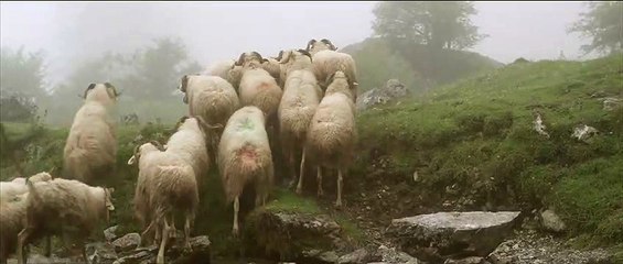 The Good Life Movie (2013) - Clip