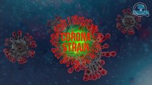 what is coronavirus strain