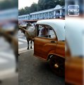 ‘Hybrid taxi’ With Two Bulls And Half A Car Wins Hearts Of Netizens